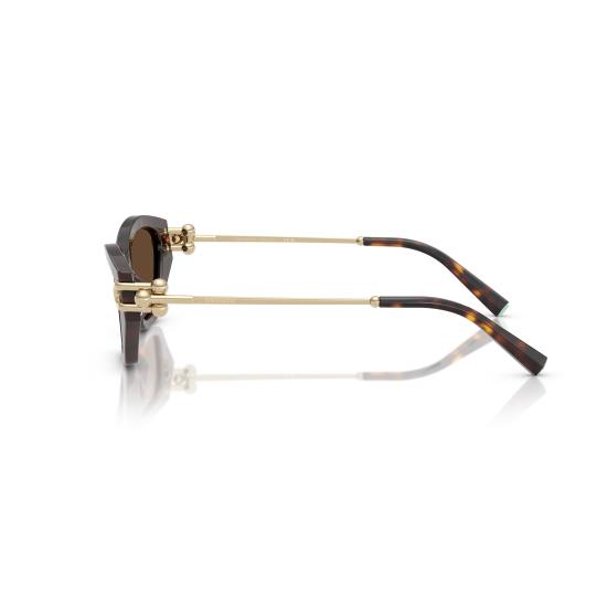 26SS 티파니앤코 선글라스 0TF4231U 80153G