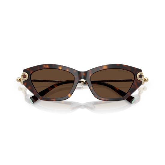 26SS 티파니앤코 선글라스 0TF4231U 80153G - TIFFANY & CO