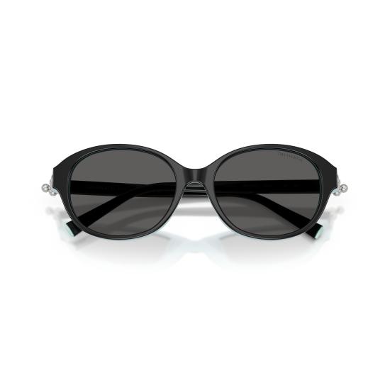 26SS 티파니앤코 선글라스 0TF4263D 8055S4