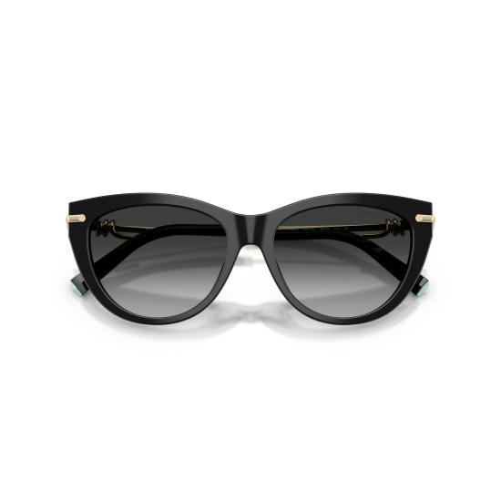 26SS 티파니앤코 선글라스 0TF4253 80013C - TIFFANY & CO