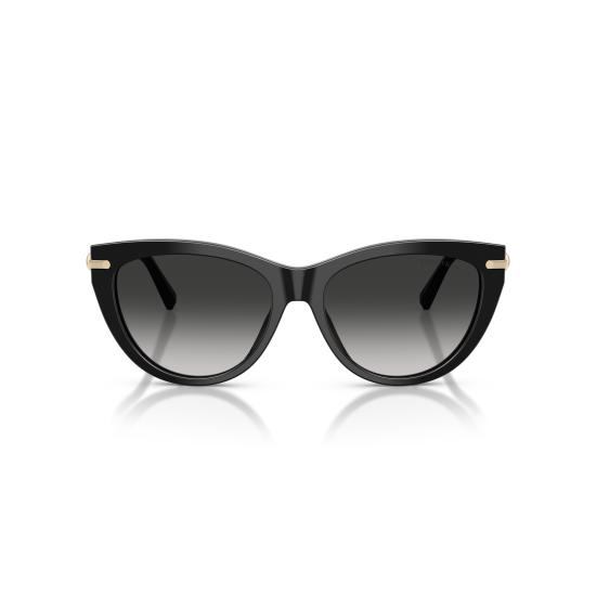 26SS 티파니앤코 선글라스 0TF4253 80013C