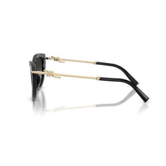 26SS 티파니앤코 선글라스 0TF4253 80013C - TIFFANY & CO