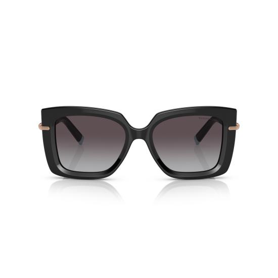 26SS 티파니앤코 선글라스 0TF4199 80013C - TIFFANY & CO