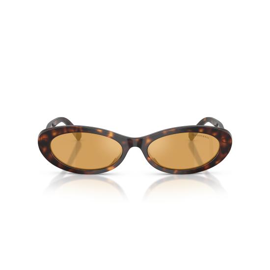 26SS 티파니앤코 선글라스 0TF4250 801574 - TIFFANY & CO