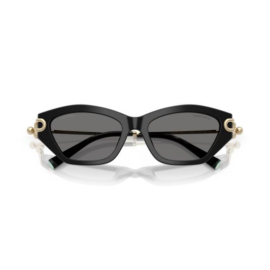 26SS 티파니앤코 선글라스 0TF4231U 800181