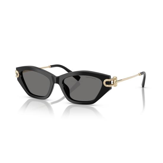 26SS 티파니앤코 선글라스 0TF4231U 800181 - TIFFANY & CO