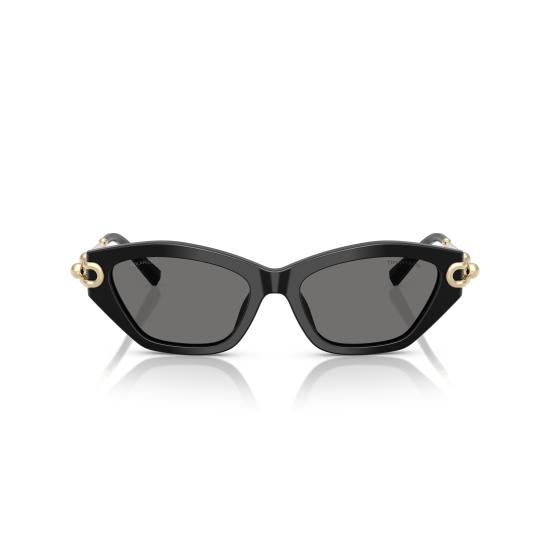 26SS 티파니앤코 선글라스 0TF4231U 800181 - TIFFANY & CO