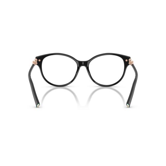 26SS 티파니앤코 선글라스 0TF2289 8001