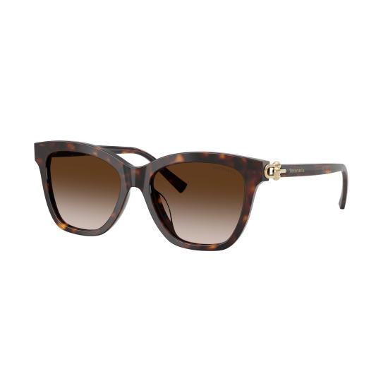 26SS 티파니앤코 선글라스 0TF4241D 80153B - TIFFANY & CO