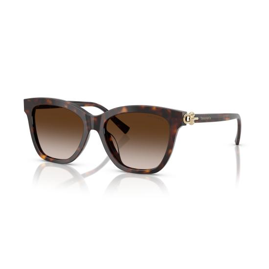 26SS 티파니앤코 선글라스 0TF4241D 80153B - TIFFANY & CO