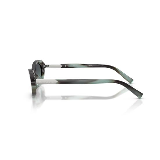 26SS 티파니앤코 선글라스 0TF4250 84432G - TIFFANY & CO