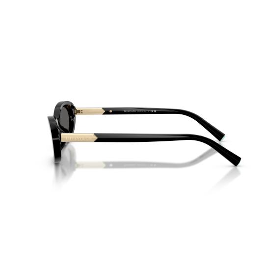 26SS 티파니앤코 선글라스 0TF4250 8001S4 - TIFFANY & CO