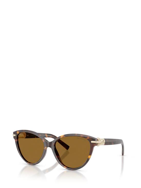 26FW 티파니앤코 선글라스 TF4261 801583 HAVANA - TIFFANY & CO