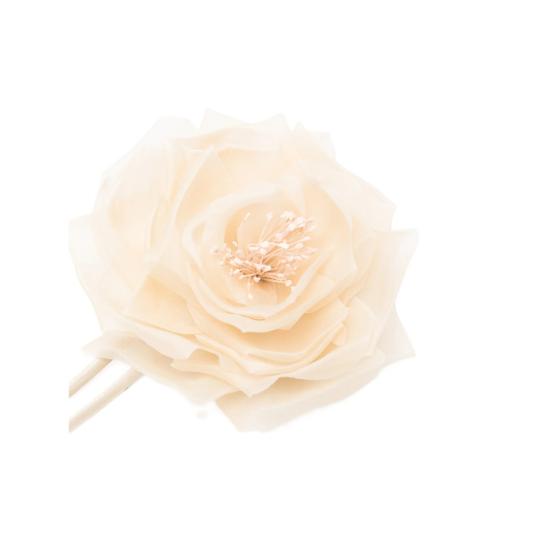 26SS 막스마라 브로치 MXARIO 589 001 NEUTRALS - MAX MARA