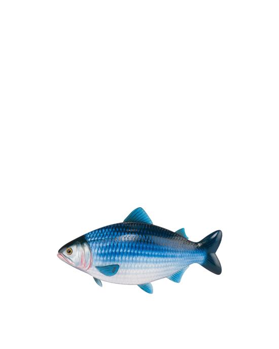 26SS 모스키노 크로스백 MC4106PP1O OS1 70A MULTICOLOR