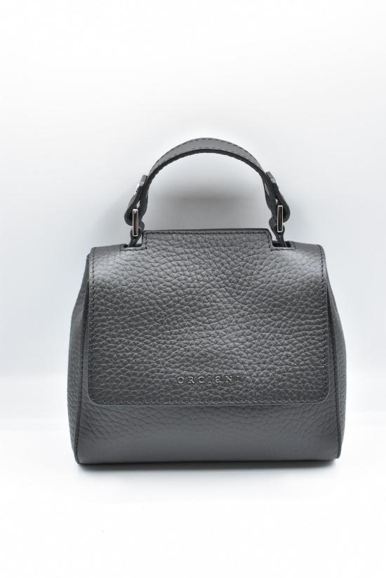 26SS 오르치아니 토트백 B02019 SVEVA XS NERO BLACK