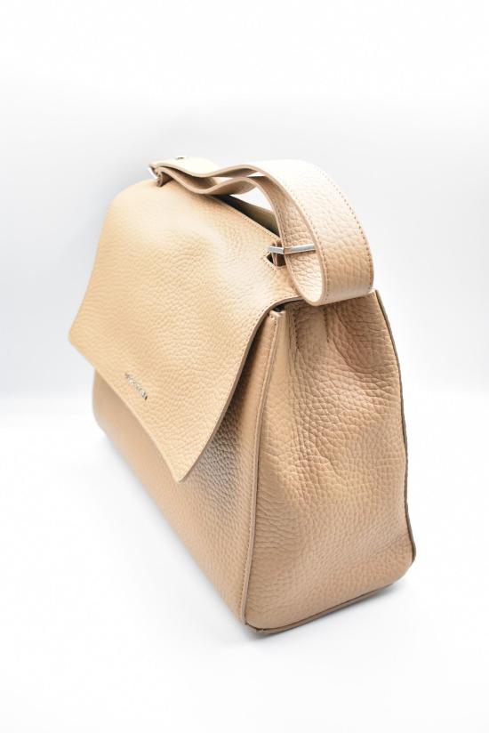 26SS 오르치아니 토트백 BTT2006 SVEVA M BISCOTTO WHITE - ORCIANI