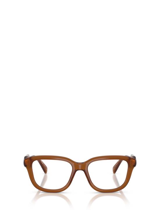 26FW 미우미우 안경 MU 02ZV 22I1O1 OPAL BROWN
