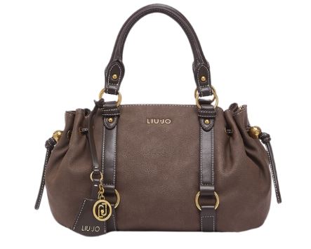 26SS 리우조 가방 AA6081 E111671409 Mocha