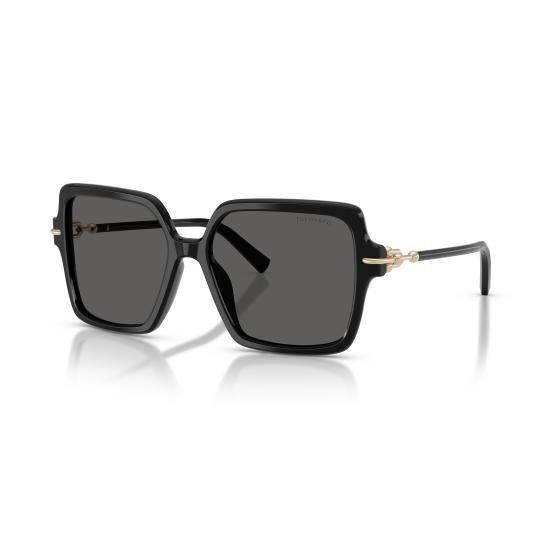 26SS 티파니앤코 선글라스 0TF4260U 8001S4 - TIFFANY & CO