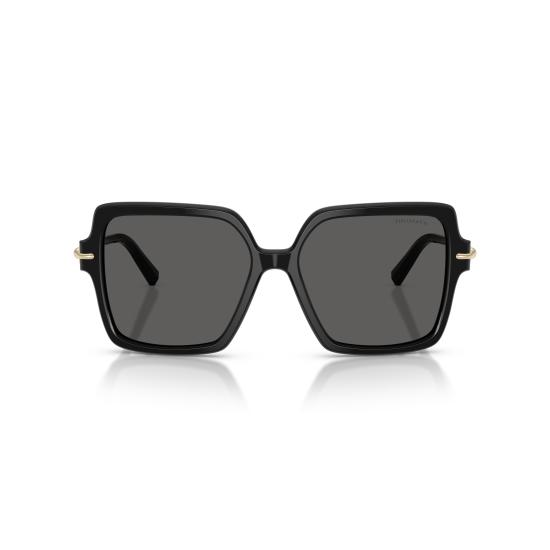 26SS 티파니앤코 선글라스 0TF4260U 8001S4 - TIFFANY & CO