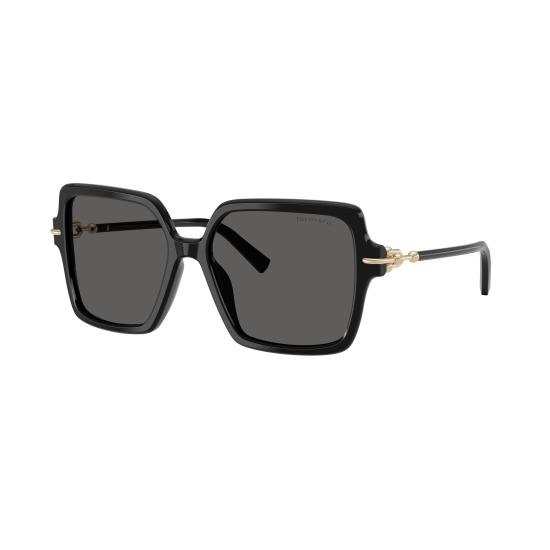 26SS 티파니앤코 선글라스 0TF4260U 8001S4 - TIFFANY & CO