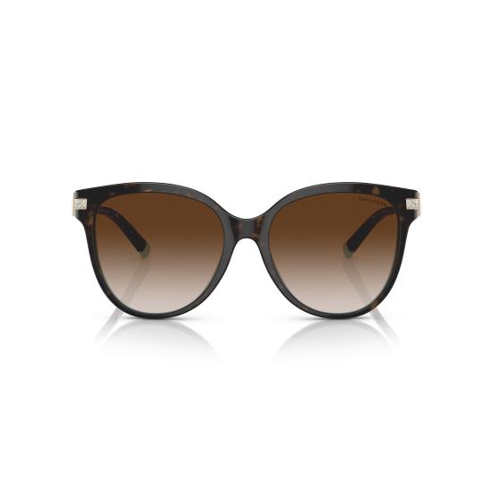 26SS 티파니앤코 선글라스 0TF4193B 81343B - TIFFANY & CO