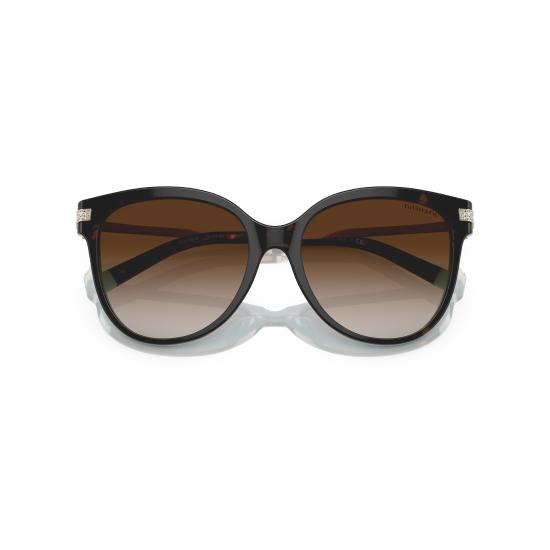 26SS 티파니앤코 선글라스 0TF4193B 81343B