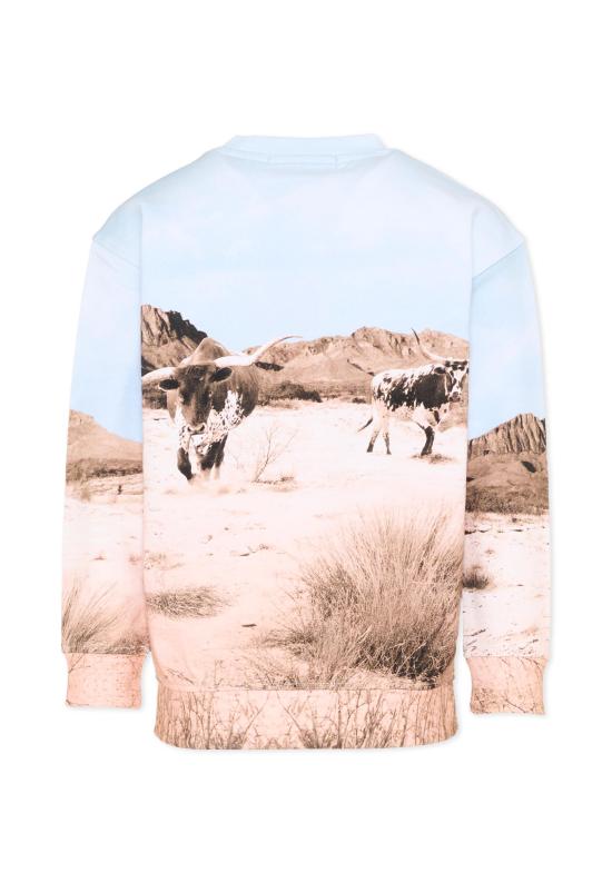 26SS [키즈] 스카치앤소다 니트/스웻셔츠 183026 260 MULTICOLOR - SCOTCH & SODA