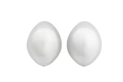 26SS 쉐르 이어링 BIJ1524BOGRAINE ARG0124W Silver