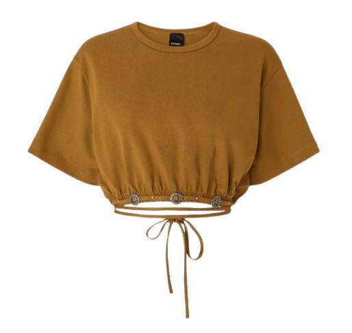 26SS 핑코 스웨터 106907 A3ARL25 Brown