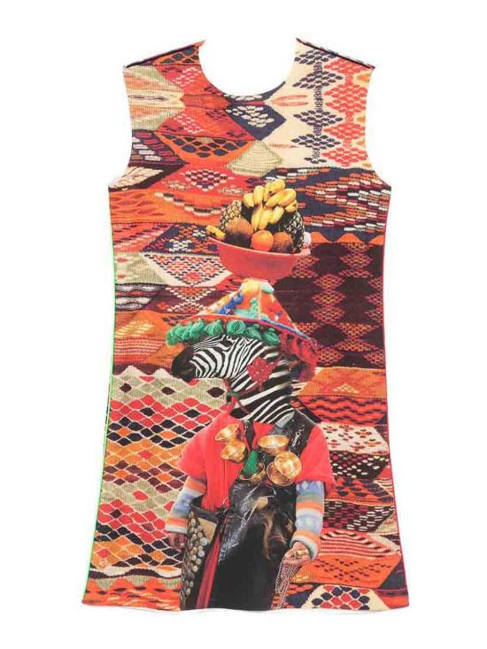 26SS THE ARTISTYLIST 미디 스커트 ZEBRASCUBADRESSMLT Multicolour