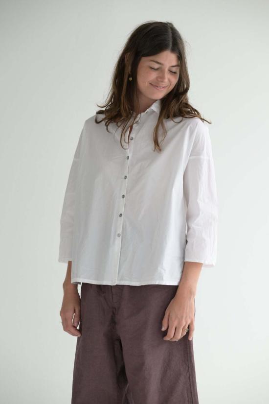  앨범 디 파밀리아 셔츠 앨범 Di Famiglia 쇼트 칼라 셔츠 Tc