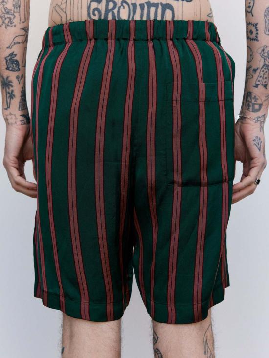  드리스 반 노튼 숏팬츠 드리스 반 노텐 보틀 실크 스트라이프 파이퍼리 쇼츠 - DRIES VAN NOTEN