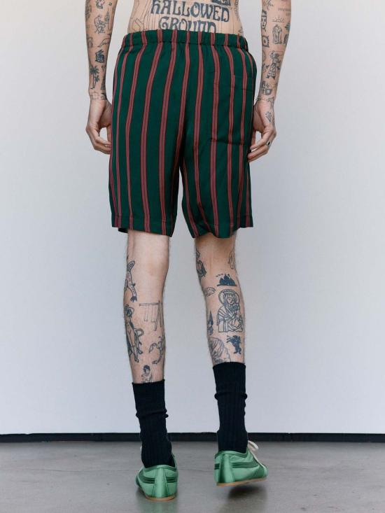  드리스 반 노튼 숏팬츠 드리스 반 노텐 보틀 실크 스트라이프 파이퍼리 쇼츠 - DRIES VAN NOTEN