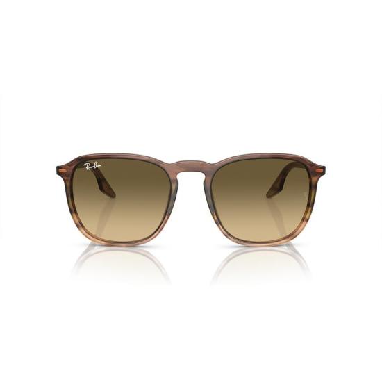  레이밴 선글라스 RB2203 13920A Brown - RAY BAN
