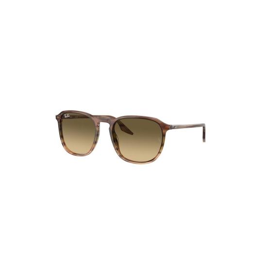  레이밴 선글라스 RB2203 13920A Brown