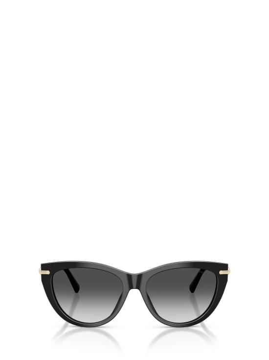 25FW 티파니앤코 선글라스 TF4253 80013C BLACK