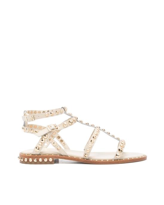 26SS 아쉬 샌들 504656 Neutrals