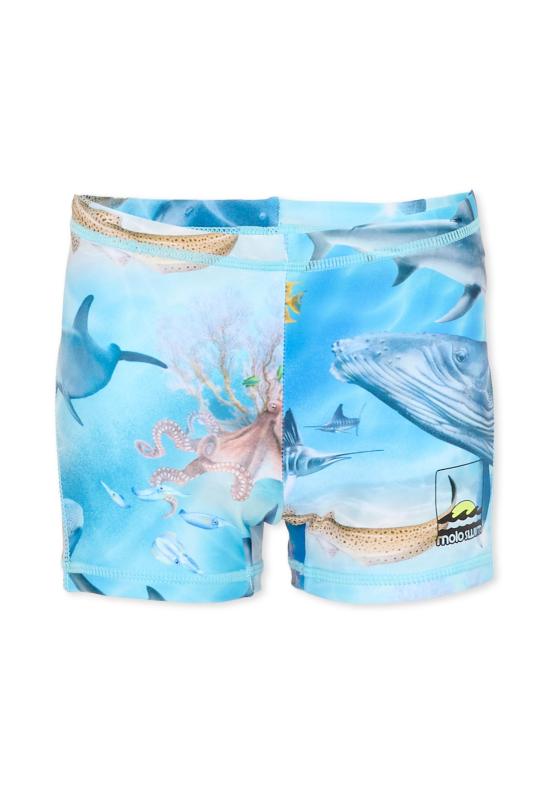 26SS [키즈] 몰로 스윔팬츠 8S26P309 9521 MULTICOLOR