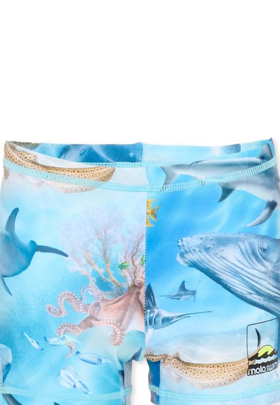 26SS [키즈] 몰로 스윔팬츠 8S26P309 9521 MULTICOLOR - MOLO