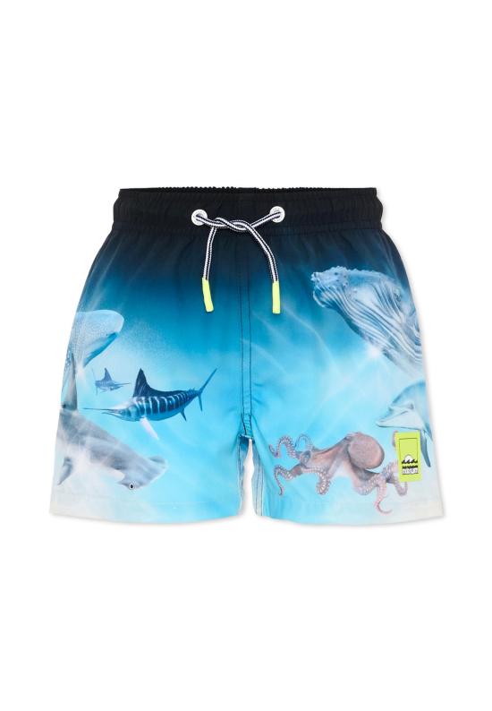 26SS [키즈] 몰로 수영복/비치웨어 8S26P402 5213 MULTICOLOR