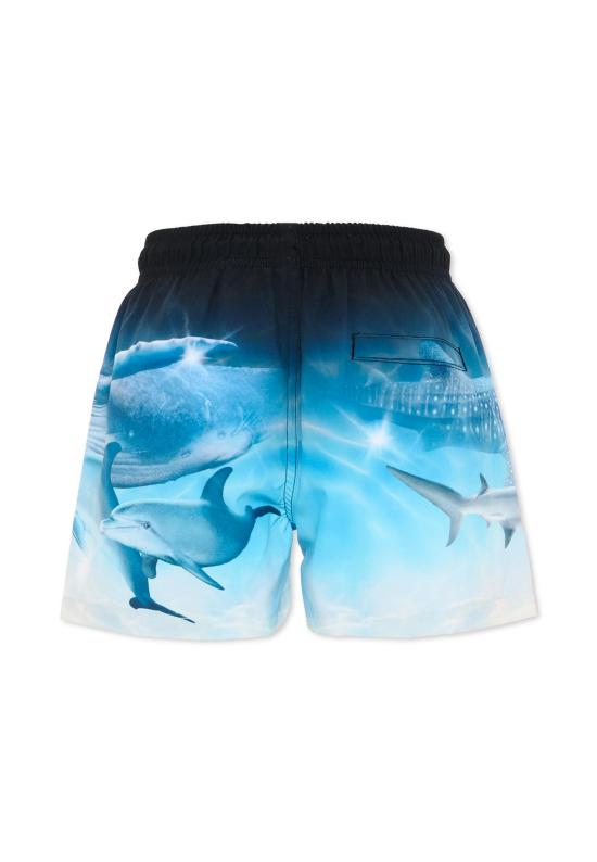 26SS [키즈] 몰로 수영복/비치웨어 8S26P402 5213 MULTICOLOR - MOLO