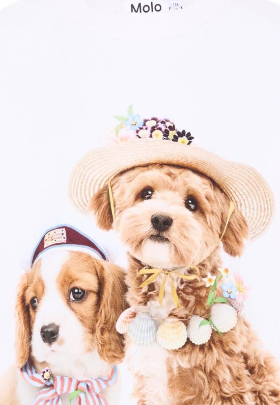 26SS [키즈] 몰로 캐시미어 니트 2S26J204 5698 WHITE - MOLO