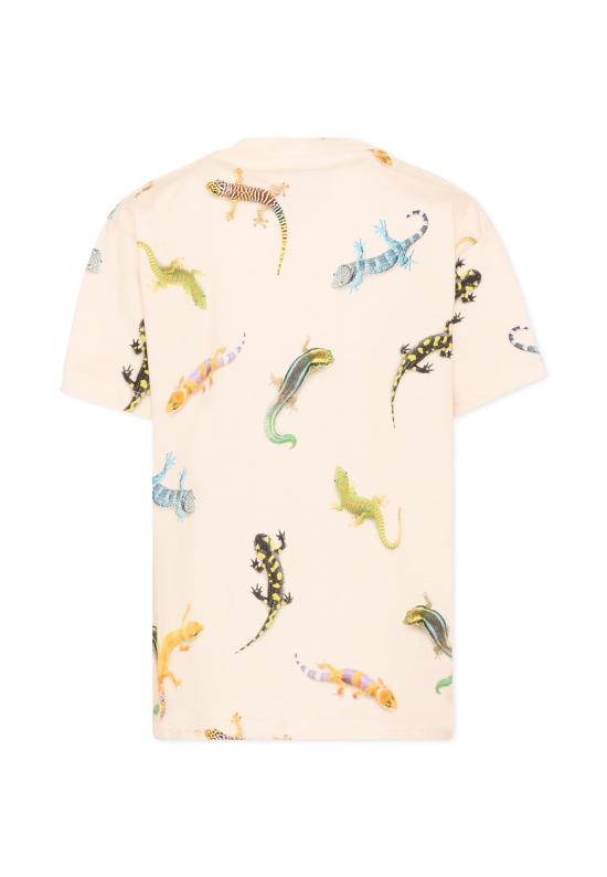 26SS [키즈] 몰로 티셔츠 1S26A208 9551 MULTICOLOR - MOLO