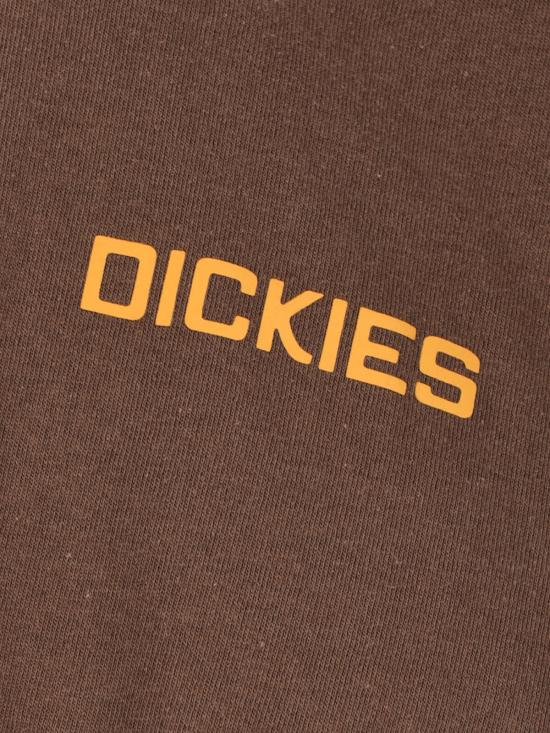 26SS 디키즈 긴팔 티셔츠 DK0A88JF 0TB1 Brown - DICKIES