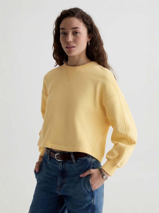  아드리아노 골드슈미드 스웨터 Adriano Goldschmied Roselle 스웨트셔츠