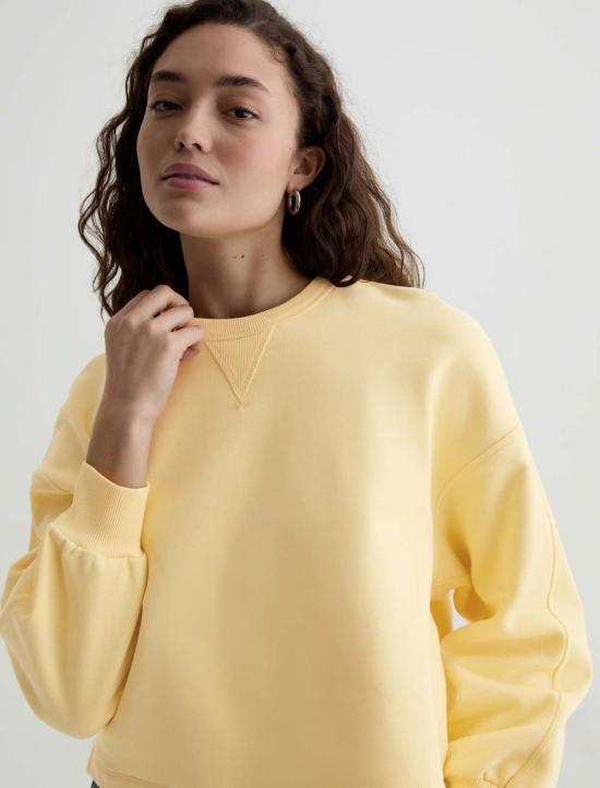  아드리아노 골드슈미드 스웨터 Adriano Goldschmied Roselle 스웨트셔츠 - ADRIANO GOLDSCHMIED