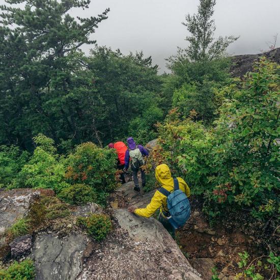  파타고니아 자켓 토렌트쉘 3L 재킷 - PATAGONIA