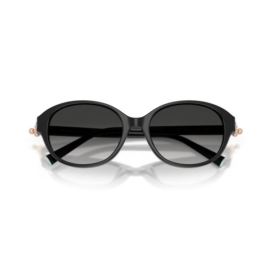 26SS 티파니앤코 선글라스 0TF4263D 80013C - TIFFANY & CO